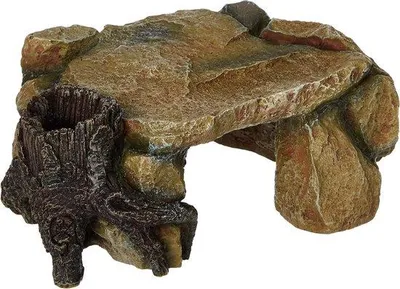 Produktbild von Famanu Holzplatte mit Baumstamm 25 cm - Naturbelassen