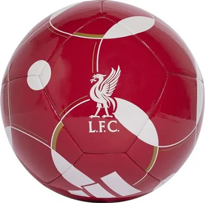 Immagine prodotto di Liverpool FC - Calcio, Adidas BS5976 (5) (Rosso/Bianco)