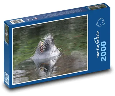 Obrázok produktu pre Puzzle 2000 Lachtaní čumák vykukujúci z vody - martinpuzzle