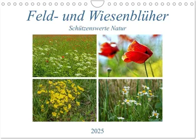 Produktbild von Feld- und Wiesenblüher Schützenswerte Natur (Wandkalender 2025 DIN A4 quer), CALVENDO Monatskalender