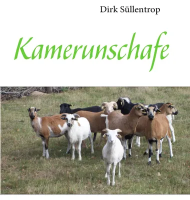 Produktbild von Kamerunschafe