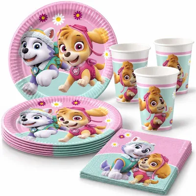 Obrázok produktu pre Paw Patrol Skye a Everest – party sada, 52 ks