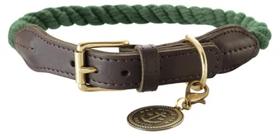 Productafbeelding van Hondenhalsband, maat 50, olijfgroen