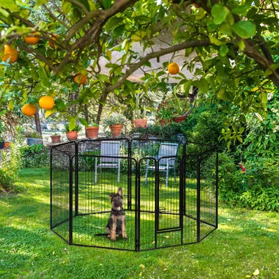 Image de Taille chiot M-XXL