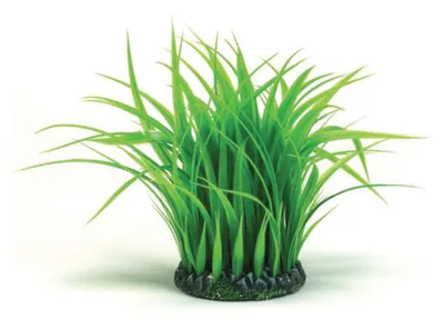 Produktbild von biOrb Grasring M 46104 grün - künstliche Aquariendekoration Pflanzen Deko