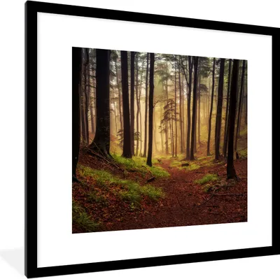 Produktbild von MuchoWow® Gerahmtes Poster Bäume - Natur - Wald 40x40 cm - Poster mit Schwarzem Bilderrahmen Wandposter Rahmen Foto Bilder - Poster - Plakat im Rahmen