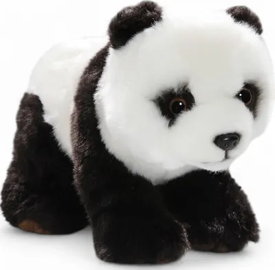 Produktbild von Carl Dick Panda ca. 25cm 2437 Kuscheltier, Plüschtier, Stofftier