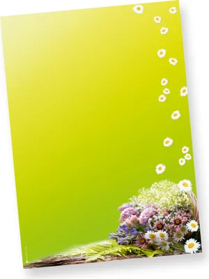 Produktbild von Briefpapier Frühling grün (50 Stück) 50 hochwertige Frühlingsbriefpapiere DIN A4 297 x 210 mm für tolle Briefe in frischen Farben