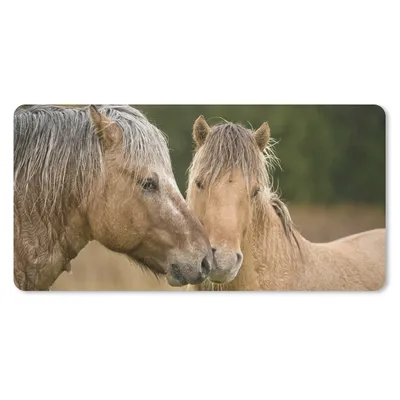Produktbild von MuchoWow® Schreibtischunterlage Nahaufnahme von kuschelnden Fjordpferden 80x40 cm - XXL Mauspad - Gaming Mauspad