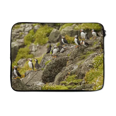 Produktbild von MuchoWow® Laptop Hülle 13 Zoll Papageientaucher an der schottischen Küste Laptoptasche - Laptophülle - Sleeve - Rundumschutz