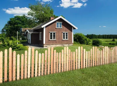 Produktbild von Rollzaun floraworld Lärche 300 x 100 cm natur