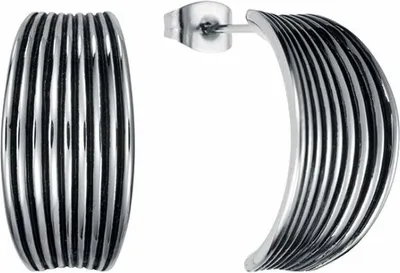 Obrázek produktu pro VICEROY Náušnice 75018E01000