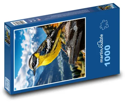 Zdjęcie produktu dla martinpuzzle - Puzzle 1000 elementów - "Wróbelek"
