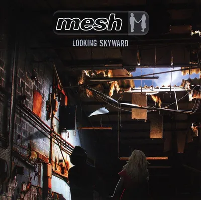 Produktbild von Looking Skyward