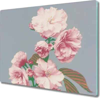 Produktbild von Coloray Schneidebrett Herdabdeckplatte 60x52 cm Kochplattenabdeckung Hackbrett Küchenbrett - Blumen Pflanzen