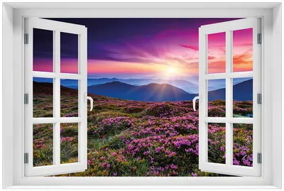 Produktbild von Wallario Premium Glasbild mit Fensterrahmen, freischwebende Optik, kräftige Farben, Größe 60 x 90 cm Motiv Blumenbedeckte Wiese bei Sonnenuntergang