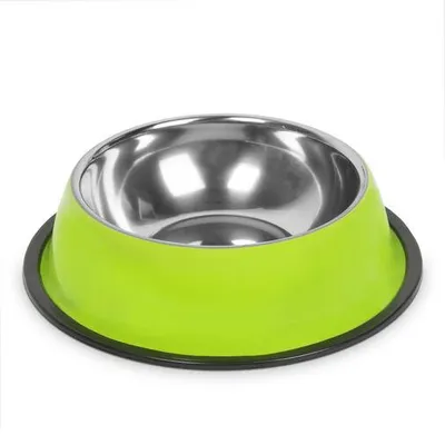 Imagen del producto de Comedero para perros - 22 cm - verde