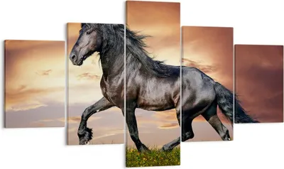 Produktbild von Bild auf Leinwand - Leinwandbild - Pferd Tier Wiese - 125x70cm - Wand Bild - Wanddeko - Wandbilder - Leinwanddruck - Bilder - Kunstdruck - Wanddekoration - Leinwand bilder - Wandkunst - EA125x70-2608