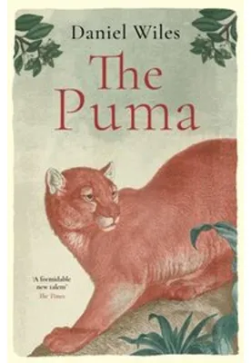 Obrázok produktu pre Puma