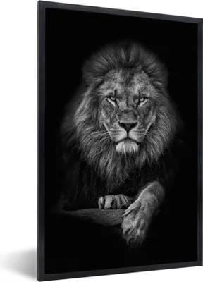 Produktbild von MuchoWow® Gerahmtes Poster Löwe - Tiere - Schwarz - Weiß 20x30 cm - Poster mit Schwarzem Bilderrahmen Wandposter Rahmen Foto Bilder - Drucken - Bilder Poster im Rahmen