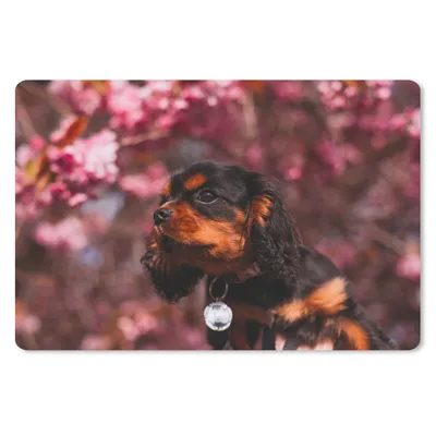 Produktbild von MuchoWow® Schreibtischunterlage Rosa Blumen über dem Cavalier King Charles Spaniel 60x40 cm - XXL Mauspad - Großes Mauspad