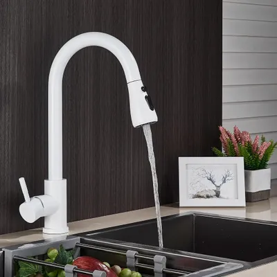 A white kitchen faucet with water running into a sink.