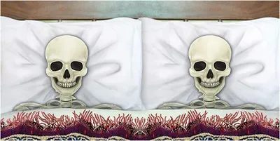 Produktbild von 2 pillowcases 81cm