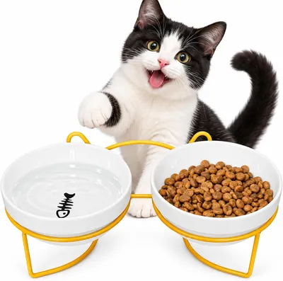 Produktbild von Keramik Katzenfutternapf Set, 2-teilig, 15° geneigt, erhöht, für Katzen und kleine Hunde