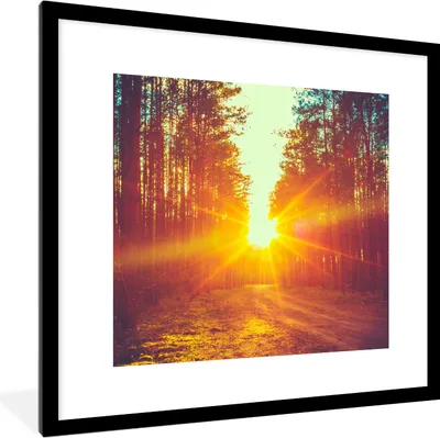 Produktbild von MuchoWow® Gerahmtes Poster Sonnenuntergang - Bäume - Wald - Natur 40x40 cm - Poster mit Schwarzem Bilderrahmen Wandposter Rahmen Foto Bilder - Poster - Plakat im Rahmen