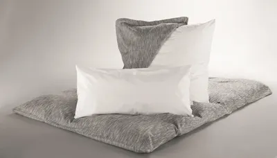 Produktbild von Dormisette by Wülfing - Schutzbezug für Kissen, milbendicht - Größe: 80/80 cm