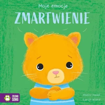Obrázek produktu pro Moje emocje. Zmartwienie