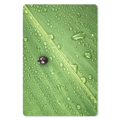 Produktbild von MuchoWow® Mauspad Mousepad Marienkäfer auf Blatt mit Tropfen 18x27 cm - Mousepads - Maus Mat - Pad - Mausunterlage