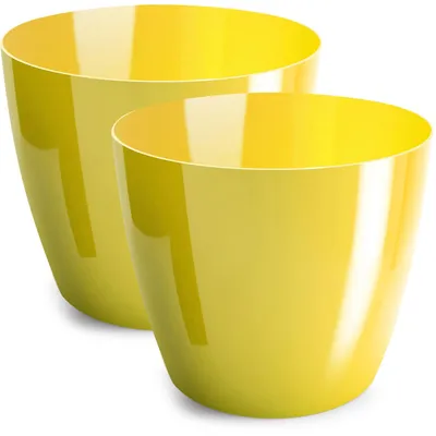 Immagine prodotto di Set di 2 vasi decorativi gialli