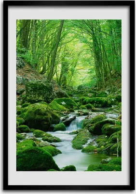 Produktbild von Bild - Bilderrahmen - Foto - 70 cm x 100 cm - MDF - Rahmen - Wandkunst - Stream im Dschungel
