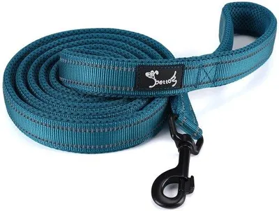 Image de Laisse réfléchissante pour chien - Sûre et pratique - Nylon - 1 pièce