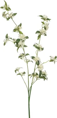 Produktbild von artplants.de Dekozweig Spierstrauch WENLAR, weiß, 115cm - Künstlicher Zweig