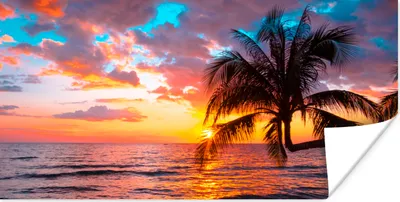 Produktbild von MuchoWow® Poster Palme - Sonnenuntergang - Strand - Meer - Horizont 40x20 cm - Poster für die Wand - Poster Schlafzimmer