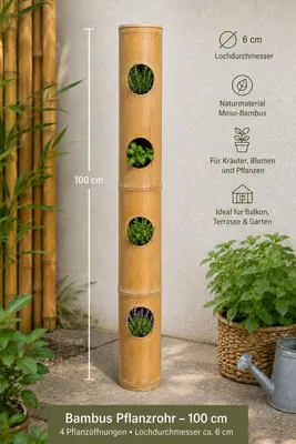 Produktbild von Bambusrohr 100 cm mit Pflanzöffnungen - Ideal für kreative Bepflanzungen