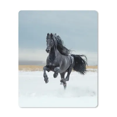 Produktbild von MuchoWow® Mauspad Mousepad Pferd - Schwarz - Schnee 30x40 cm - Mousepads - Maus Mat - Pad - Mausunterlage - Mausmatten