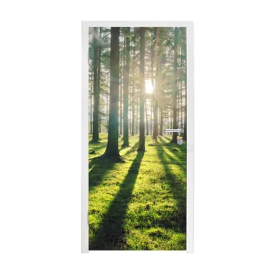 Obrázek produktu pro MuchoWow® Plakát na dveře - Stromy - Příroda - Les - 235x95 cm - Samolepicí fólie na dveře