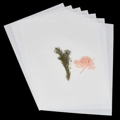 Blumenpress-Papier 60 Blatt, A4, saugfähig, wiederverwendbar