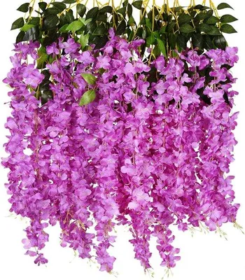Produktbild von Unyqoos® 12er-Set künstliche Glyzinien (Blauregen) Hänge-Dekoration – lila, Seidenblüten mit Kunststoffstängeln, je 110 cm, 3 Zweige, Blütenstränge 55,1 cm