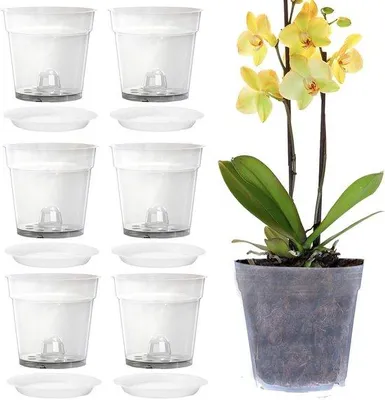Produktbild von Famanu Orchideentöpfe Transparent - Für Innen und Außen - 6 Stück