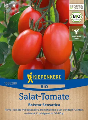 Artikelbild 2 von 'BIO Salat-Tomate Bolstar Sensatica F1' aus der Kategorie Tomatensamen