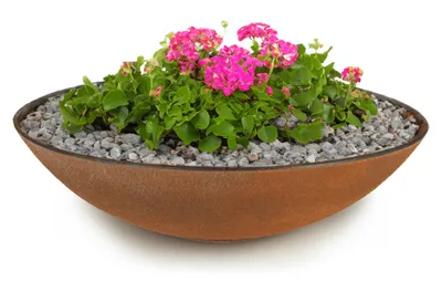 Immagine prodotto di Fioriera piatta per esterni Ciotola decorativa rotonda effetto ruggine 35 cm