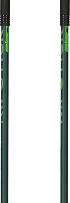 Immagine prodotto di Elan Ripstick, bastoncini da sci, colore argento, 120 cm