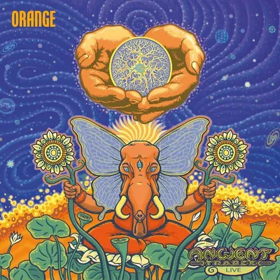 Image de Ancient Trance - Live