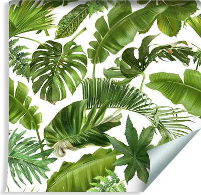 Zdjęcie produktu dla Tapeta Nowoczesna abstrakcyjne LIŚCIE Tropikalne Bananowiec Palma Monstera Dzika Przyroda efekt 3D do Salonu