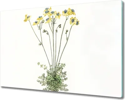 Produktbild von Coloray Schneidebrett Herdabdeckplatte 80x52 cm Kochplattenabdeckung Hackbrett Küchenbrett - Blumen Pflanzen