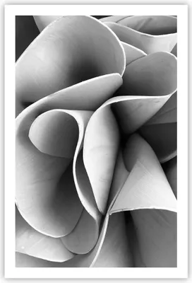 Produktbild von Poster - Poster ohne Rahmen - Material Ornament Stück - 61x91,5 cm - Wand Bild - Wanddeko - Wandbilder - Kunstposter - Wandposter - Bilder - Kunstdruck - Wanddekoration - Wandbild - P2XPA61x91-4993